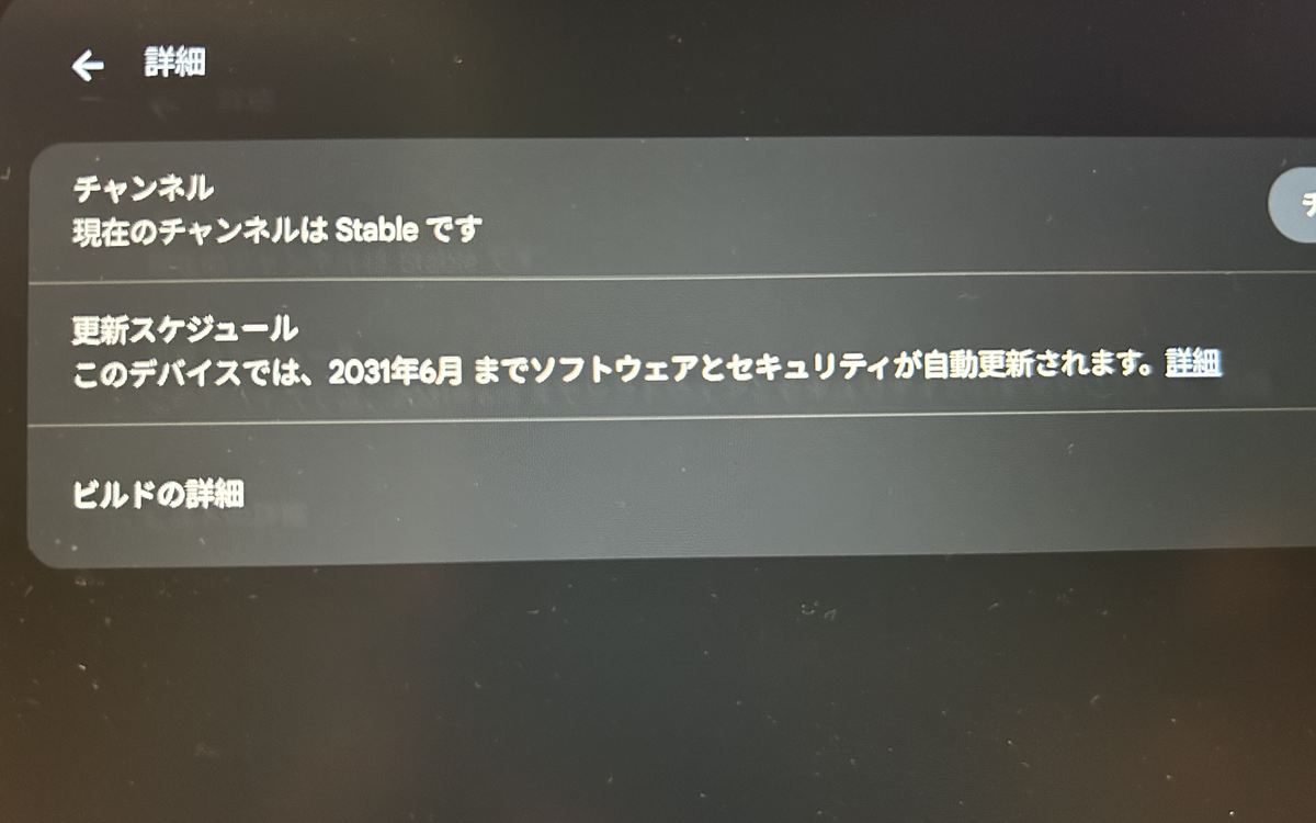 Chromebook実機の詳細画面に表示された自動更新スケジュール2031年6月